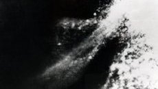 An underwater picture taken in 1974 alleged to have been the flipper of a huge unidentified creature in the loch