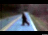 Bigfoot in Rutherford County, N.C.