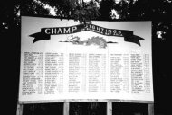 Figure 3: Champ monster sighting board at Port Henry, New York, the