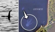 Loch Ness monster, Nessie, Loch, Ness, monster, latest, news, sighting, Scotland, myth, legend, swim, Dores, Inverness, hunt, creature, big foot, space