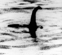 One of Robert Kenneth Wilson's photos of 'Nessie' - known as the Surgeon's Photograph.