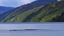 The strange wave created by a 'solid object'. Could it be Nessie? Picture: David Elder, Snapper Media