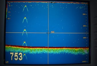 Loch Ness Monster sonar