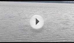 Dramatic new home video of the Loch Ness monster