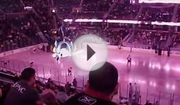 Lake Erie Monsters Intro