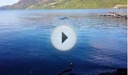 Loch Ness Monster on film!