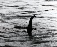 A (faked) photo of the Loch Ness monster (Archive/Getty)