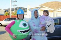 Homemade Monsters, Inc. Family Costume