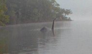 Loch Ness Monster 'spotted' at Lake Windermere