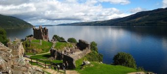 Other Monsters like Nessie