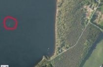 Satellite image showing what could be the Loch Ness monster