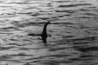 Scotland wants Loch Ness Monster as national animal because unicorns aren't real