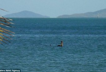 Loch Ness Monster Australia