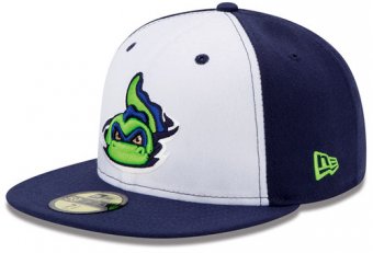 Vermont Lake Monsters gear