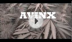 Avinx-Green monster(Official Music Video)