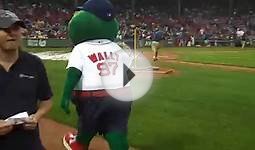 Wally the Green Monster- Fenway Park